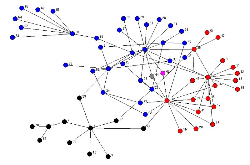 Red de networking